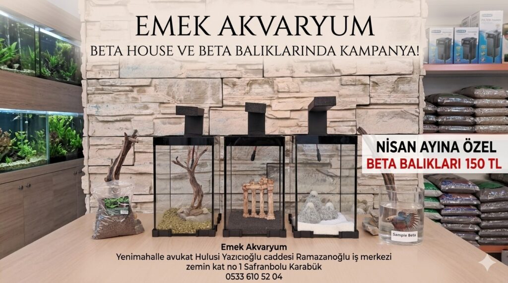 Beta Hause ve Beta Balıklarında Kampanya