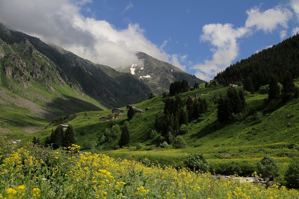 Elevit Yaylası: Çamlıhemşin’de Tarihî Evler ve Yayla Yaşamı