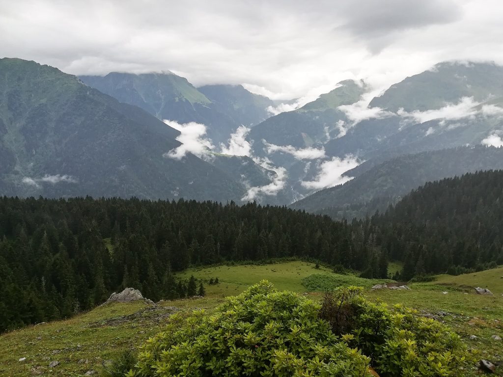Gito Yaylası: Rize’de Manzara, Sis ve Ulaşım Rehberi