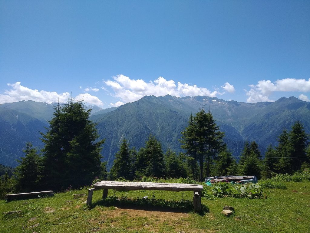 Sal Yaylası: Çamlıhemşin’de Sakin Bir Yayla Rotası